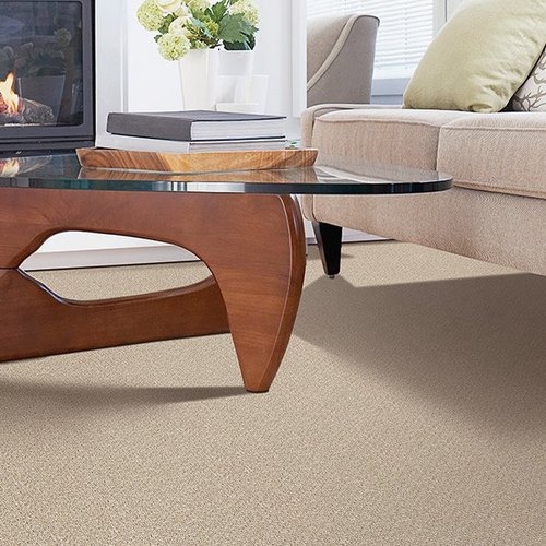 Contemporary carpet in City, State from Stout's Carpet & Flooring