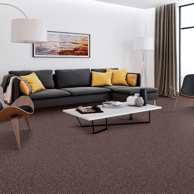 Carpet trends in City, State from Stout's Carpet & Flooring